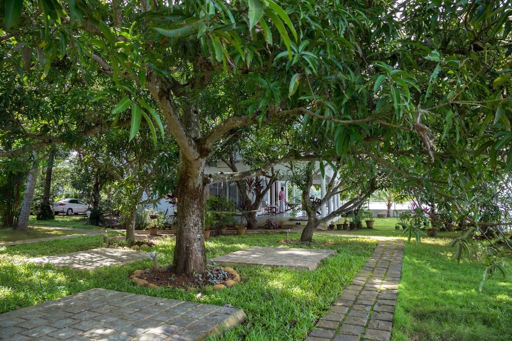 Orchid Lake View Homestay Alappuzha Extérieur photo